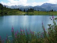 [Hier fehlt das Bild...]