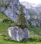 [Hier fehlt das Bild...]