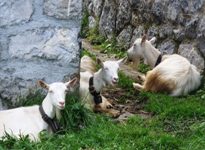 [Hier fehlt das Bild...]