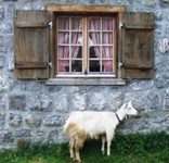 [Hier fehlt das Bild...]