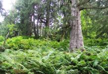 [Hier fehlt das Bild...]