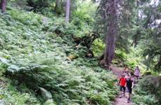 [Hier fehlt das Bild...]