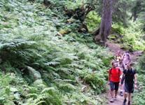 [Hier fehlt das Bild...]