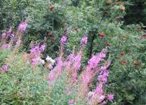 [Hier fehlt das Bild...]