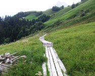 [Hier fehlt das Bild...]