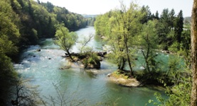 [Hier fehlt das Bild...]