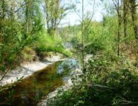 [Hier fehlt das Bild...]