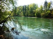 [Hier fehlt das Bild...]