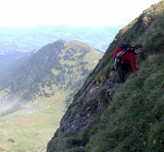 [Hier fehlt das Bild...]