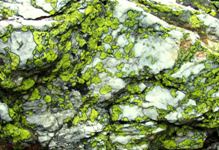 [Hier fehlt das Bild...]