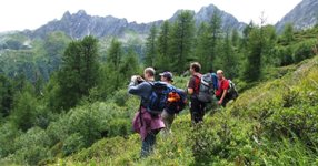 [Hier fehlt das Bild...]