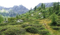 [Hier fehlt das Bild...]