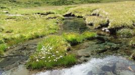 [Hier fehlt das Bild...]