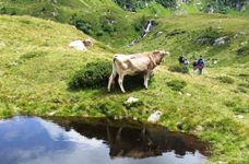 [Hier fehlt das Bild...]