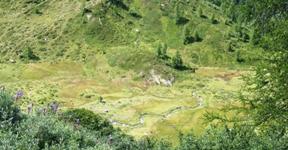 [Hier fehlt das Bild...]