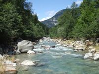 [Hier fehlt das Bild...]