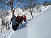 [Hier fehlt das Bild...]