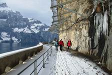 [Hier fehlt das Bild...]