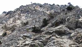 [Hier fehlt das Bild...]