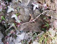 [Hier fehlt das Bild...]