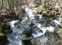 [Hier fehlt das Bild...]